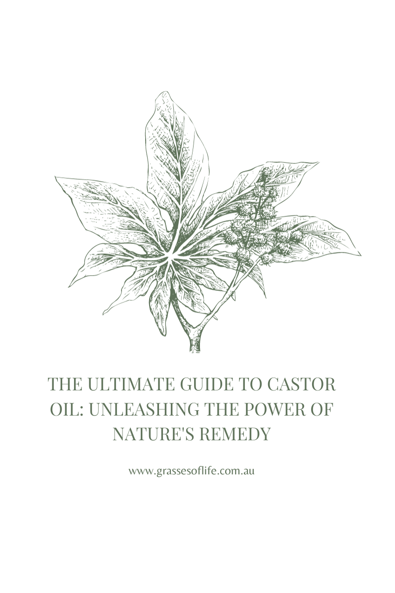 Organic Fair Trade Castor Oil Grasses of Life-2